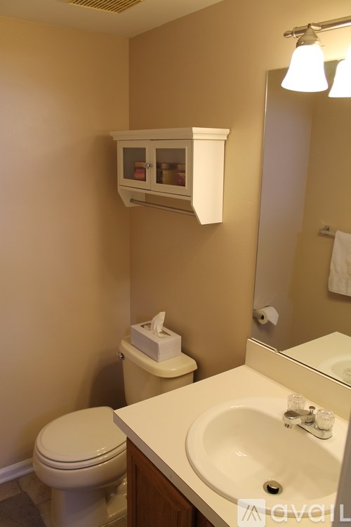 A bathroom with a toilet, sink, and mirror.