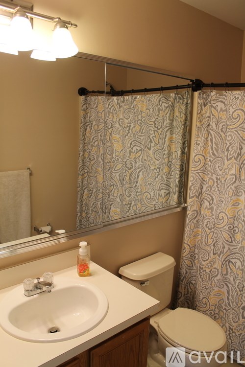 A bathroom with a sink, toilet, and shower curtain.