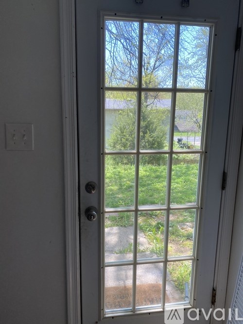 A white door with a glass window showing a view of a backyard.