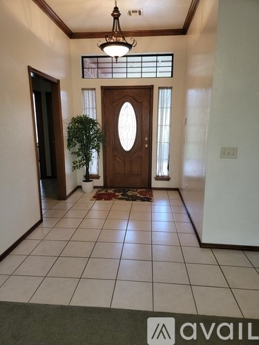 A hallway with a brown door and a plant on the left.
