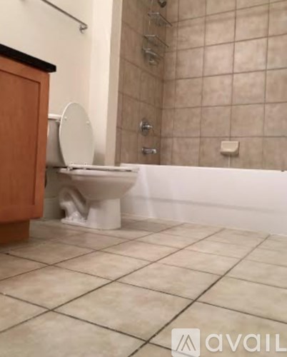 A bathroom with a toilet and a tiled shower area.