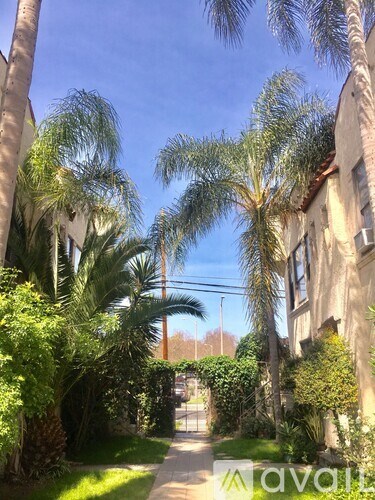 A narrow street flanked by palm trees and buildings.