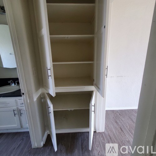 A white pantry with an open door and shelves.