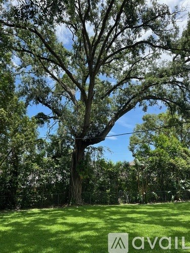A large tree stands in a grassy area with a clear blue sky above.