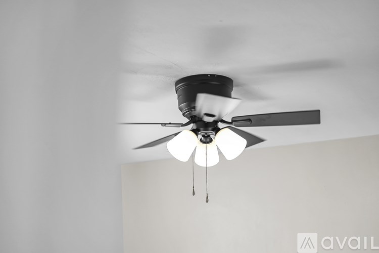 A ceiling fan with lights is hanging from the ceiling.