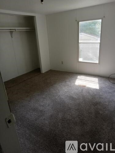 A room with a carpeted floor and a window letting in sunlight.
