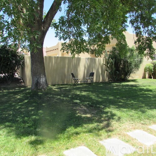 A tree in a yard with a bench underneath it.