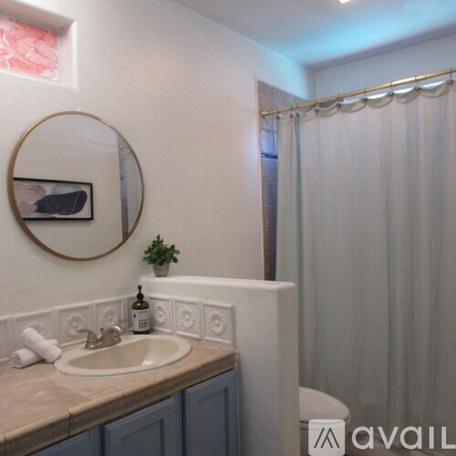 A bathroom with a sink, mirror, and a plant.