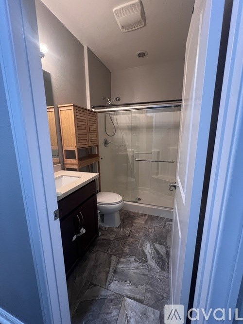 A bathroom with a toilet, sink, and walk-in shower.