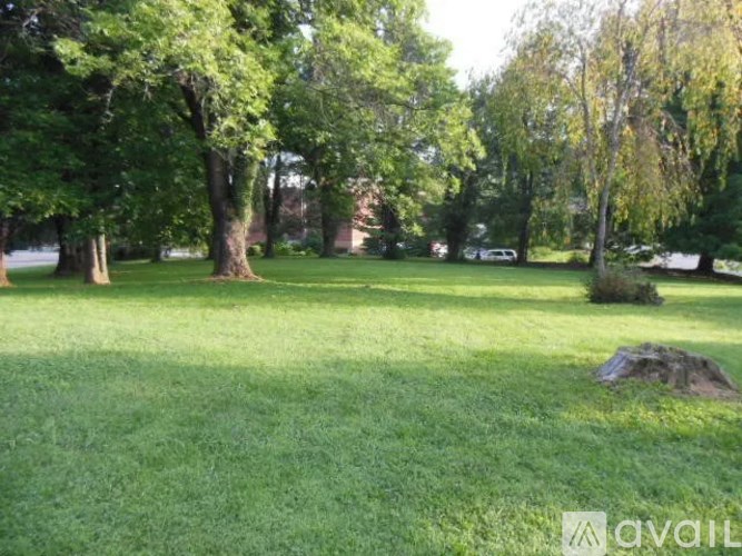 A grassy field with trees and a rock in the distance.