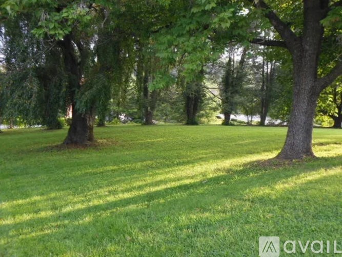 A grassy field with trees in the background.