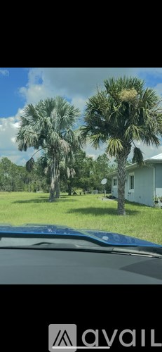 A car is parked in front of a house with two palm trees.