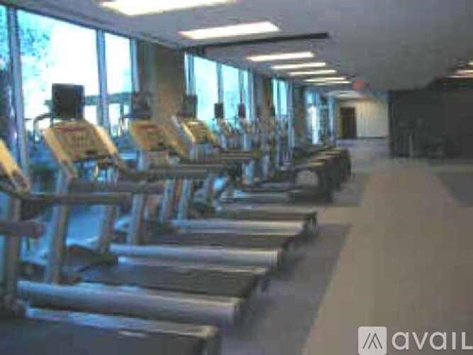 A row of treadmills are lined up in a gym.