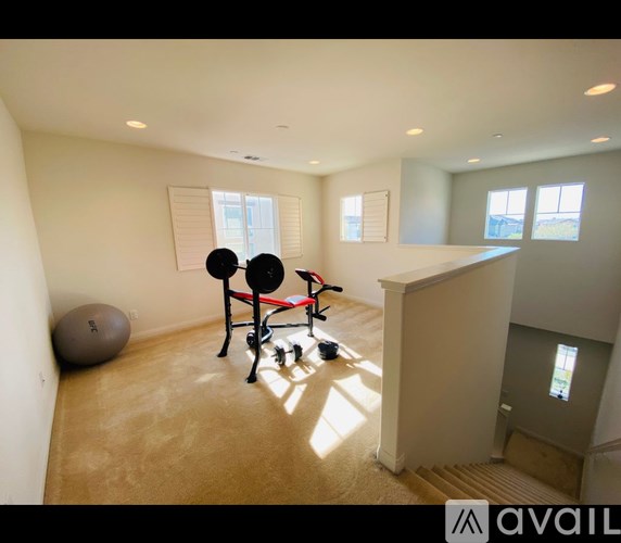 A room with a gym set up including a bench, weights and a ball.
