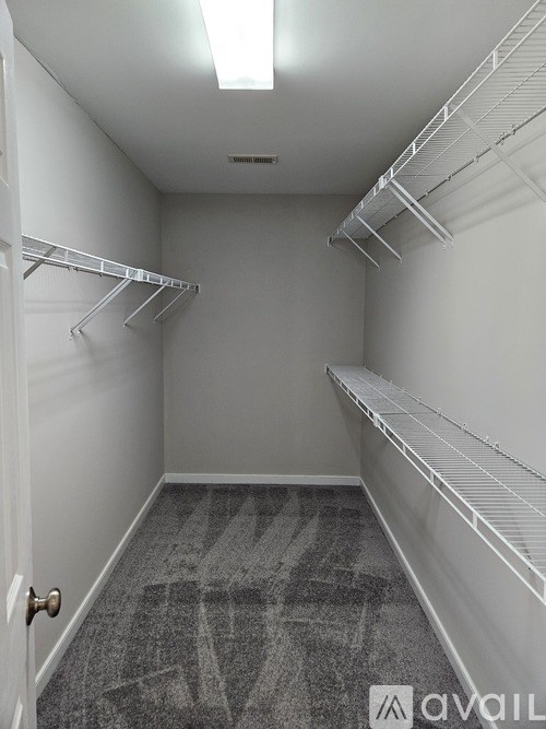 A white walk in closet with a carpeted floor.
