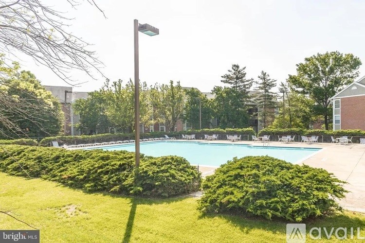 A bright sunny day at a poolside with a lamp post.