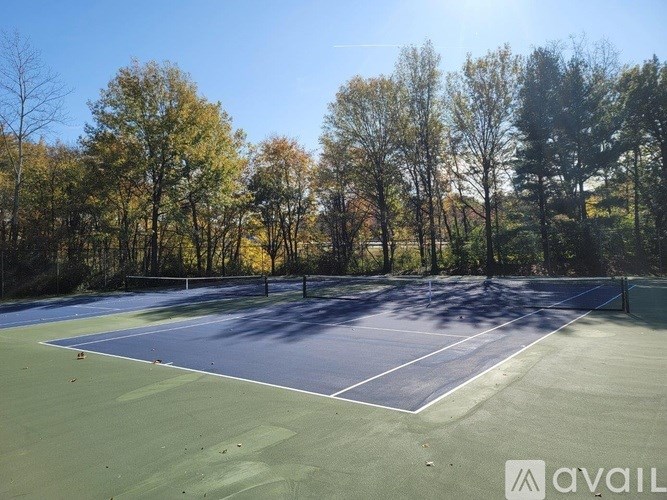 A tennis court surrounded by trees on a sunny day.