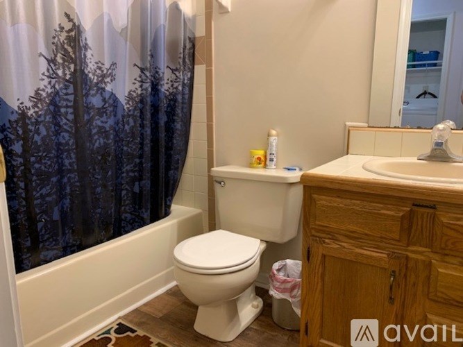 A bathroom with a toilet, sink, and shower curtain.