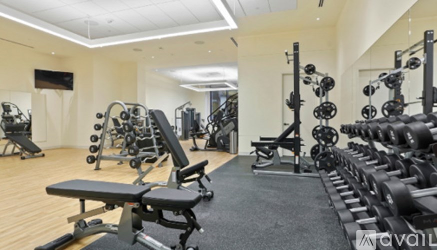 A well-equipped gym with a variety of machines and weights.