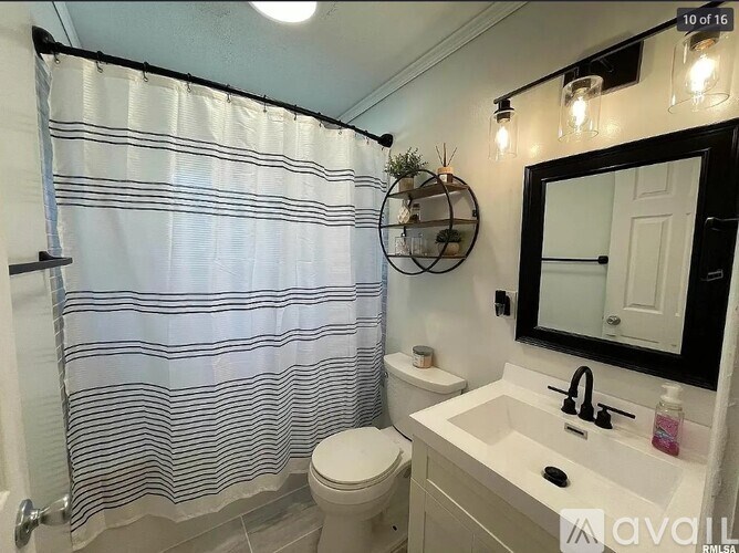 A bathroom with a white toilet, a sink, and a shower curtain.