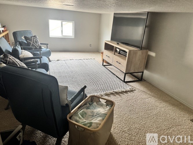 A living room with a television, chairs, and a rug.