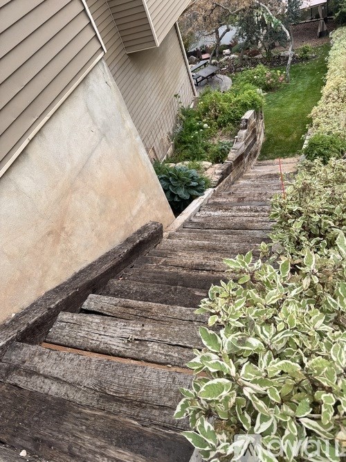 A wooden staircase with a green plant on the side.