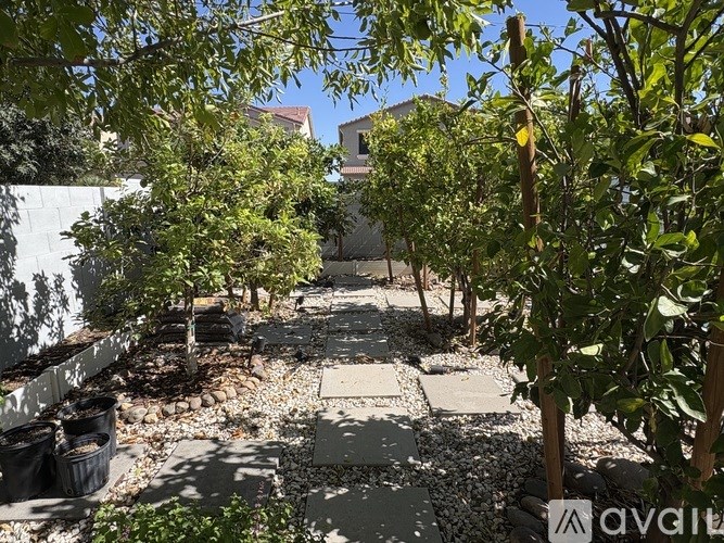 A garden with a stone pathway and a white wall.