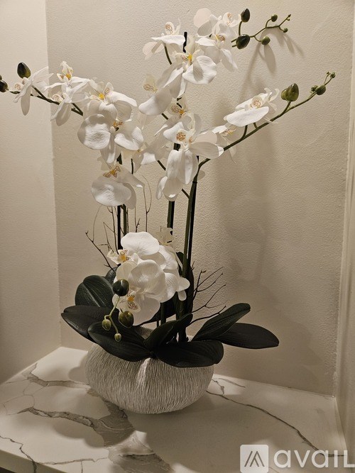 A white orchid plant in a black vase on a marble table.