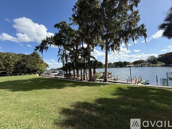 A grassy area with trees and a body of water in the distance.