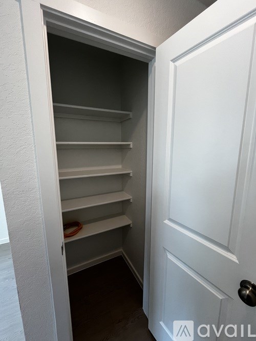 A white door is open to a small pantry with shelves.