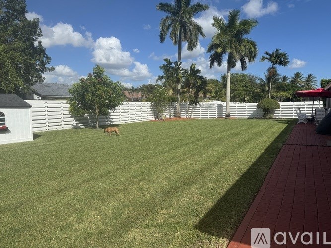 A dog is walking in a grassy yard with a white fence and palm trees in the background.