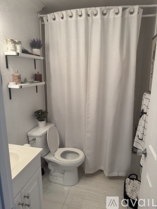 A white bathroom with a toilet, sink, and shower curtain.