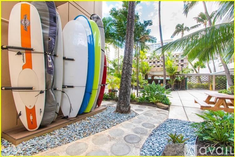 Surfboards are lined up on a rack in a tropical setting.