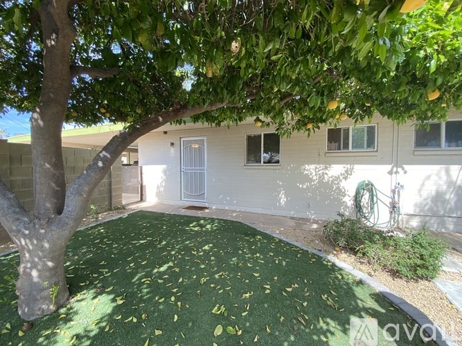 A tree with green leaves is in front of a white house.