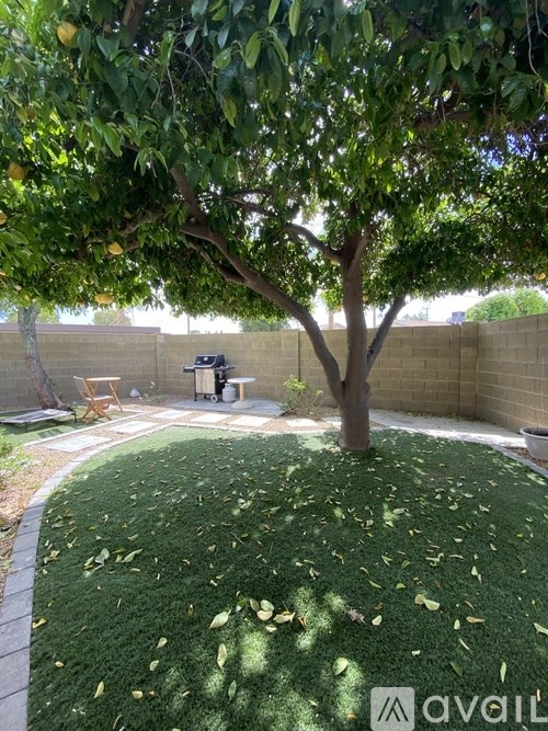 A tree with green leaves is in the backyard.