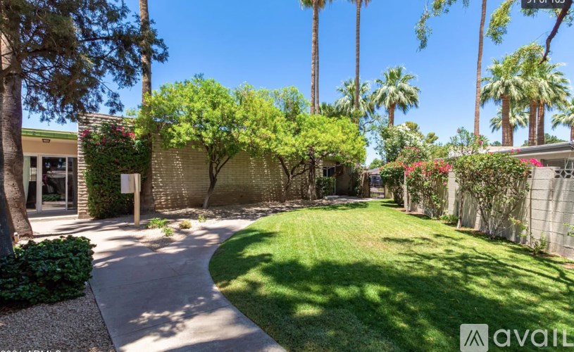 A backyard with a lawn, trees, and a fence.
