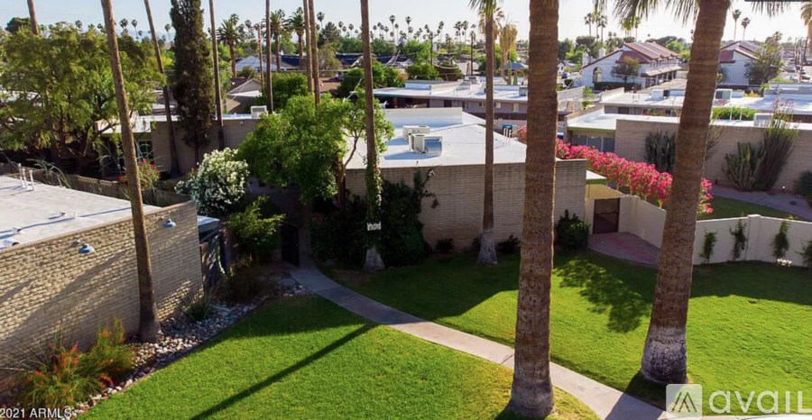 A house with a pool surrounded by palm trees.