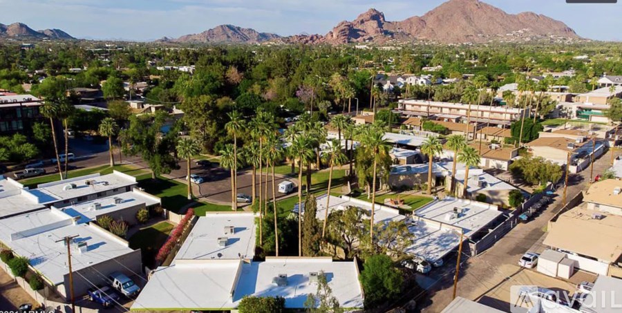 A bird's eye view of a city with buildings and palm trees.