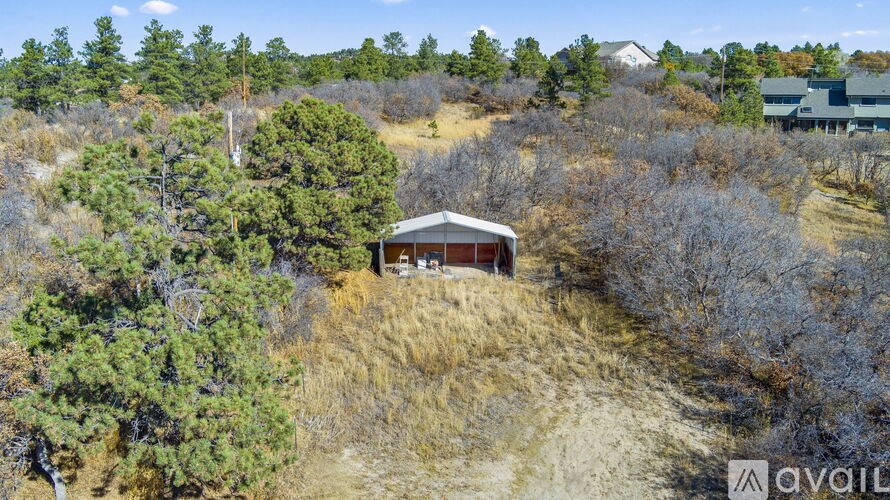 A house is surrounded by trees and bushes.