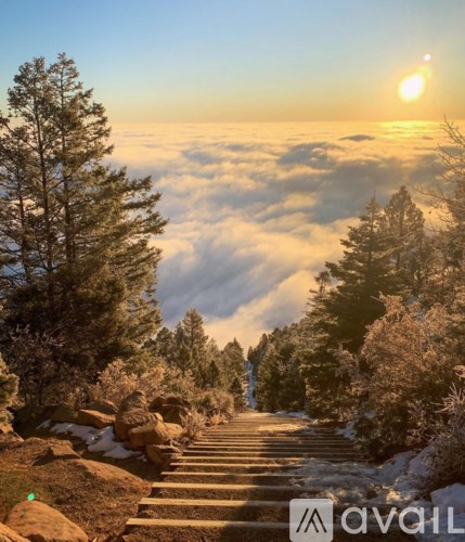 A staircase leading up to a view of clouds and trees.