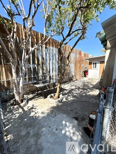 A backyard with a fence, a tree, and a shed.
