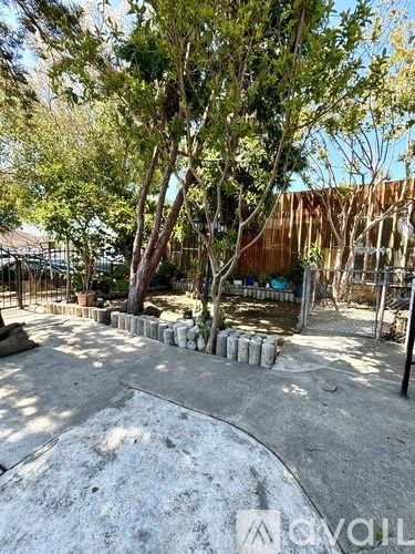 A sandy area with trees and a fence in the background.