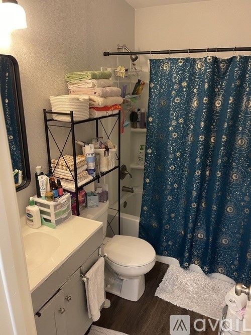 A bathroom with a toilet, sink, and shower curtain.