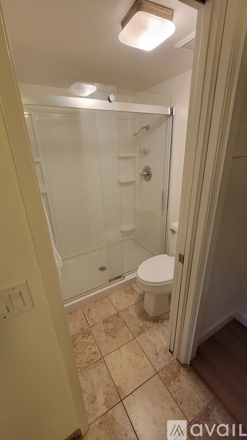 A bathroom with a toilet and a walk-in shower.