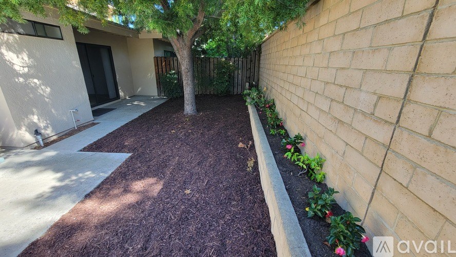A tree in a yard next to a house.