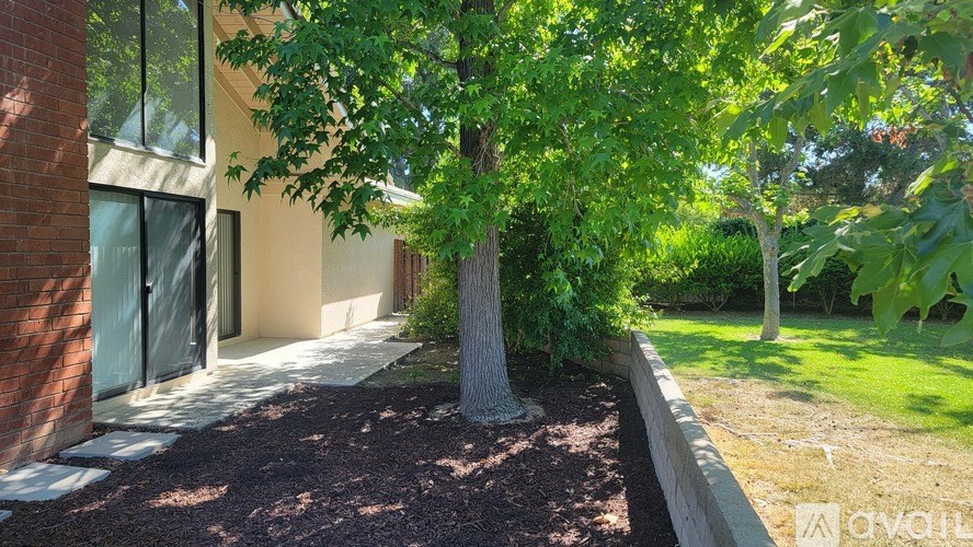 A tree in a yard in front of a building.