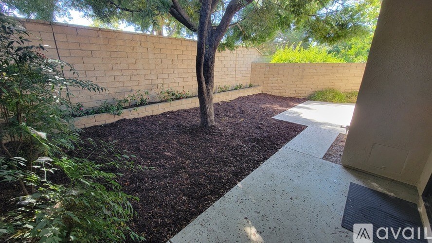 A tree in a backyard with mulch and a concrete walkway.