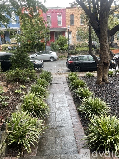A wet sidewalk with a tree and plants on the side.