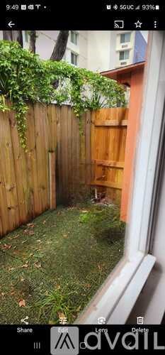 A backyard with a wooden fence and green plants.