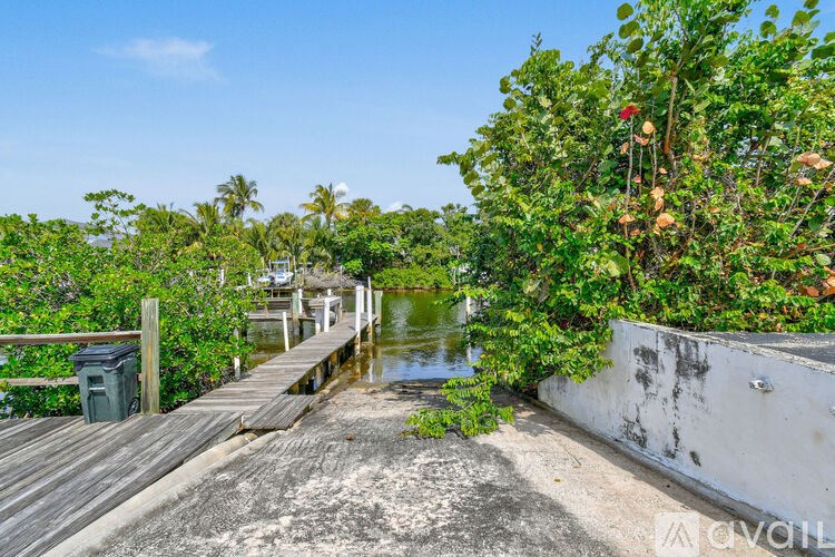 A wooden walkway leads to a body of water surrounded by greenery.